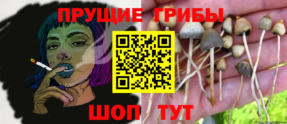Балашов  Псилоцибиновые грибы Magic Shrooms  Вход с VPN 